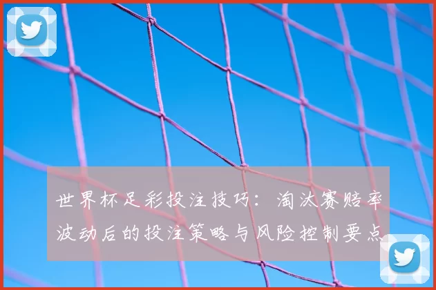 世界杯足彩投注技巧：淘汰赛赔率波动后的投注策略与风险控制要点
